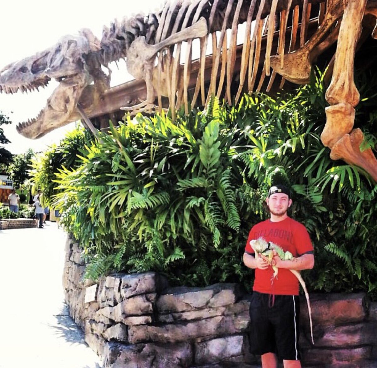 solid4thliner's tweet photo. Rest In Peace to the goodest girl on earth, from the time you experienced Jurassic Park at Universal to going on road trips, all the way to me keeping you warm at night, I love you and you will be missed. Momo the iguana https://t.co/d8xz8Epyuz