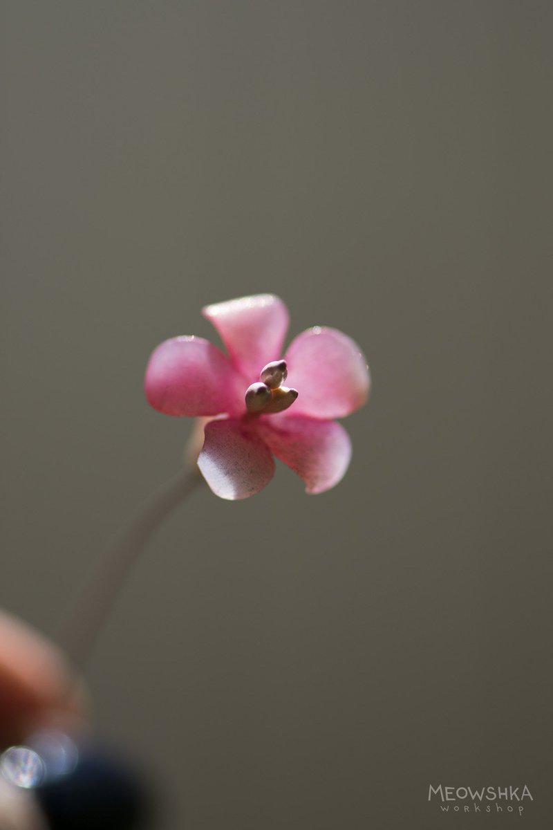miaushka's tweet photo. Step by step: making of flowers to cherry blossom fox. 
#wip #fox #cherryblossom #sakura #toy #polymerclay #flowers #polymerflowers https://t.co/U4RyZes75P