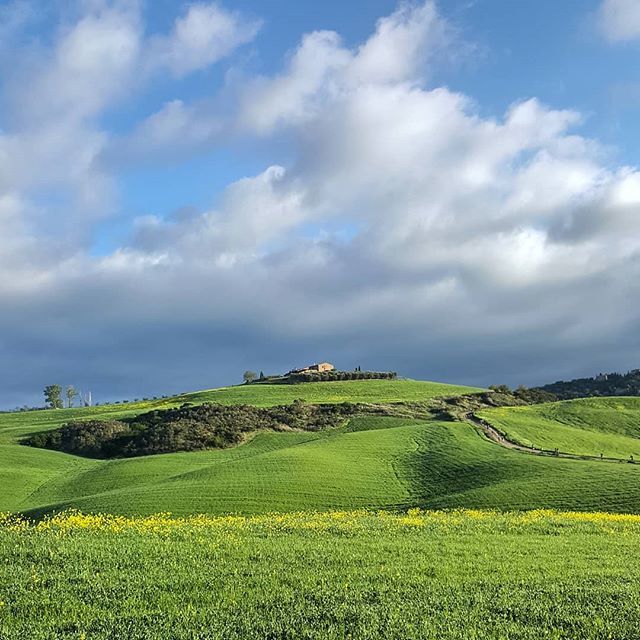 chrisilvi's tweet photo. #igersitalia #igerstoscana #igerssiena #countryside #downhill #landscape #sky #clouds #green #gladiator #desktop #tuscanygram https://t.co/i1BTjz7nKi https://t.co/ClFTjF49gT