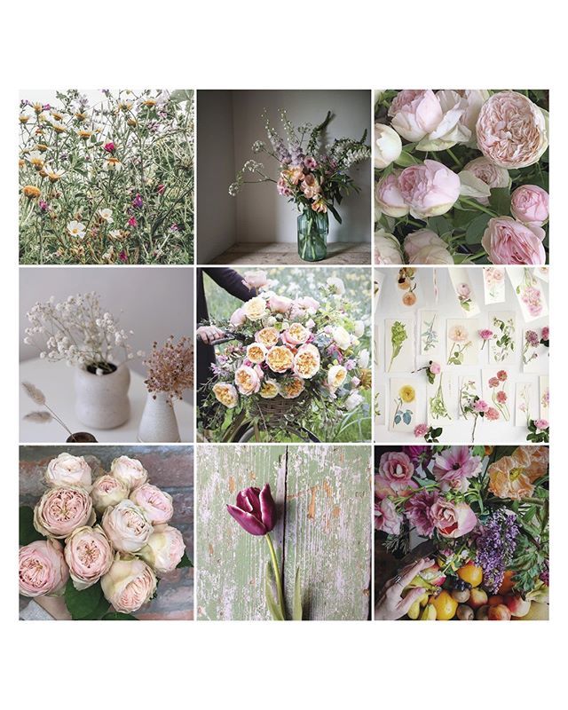 yvonnecoomber's tweet photo. Thank you to all you folk using my #wildforflowers hashtag. This months selection is bursting with spring loveliness x
#flowersandotherstories #allthingsbotanical
#inspiredbypetals #floralstories #realflowersoftheseason #momentsofmine #dsflora… https://t.co/szQFrNmS7B https://t.co/GJKS7HlCqw