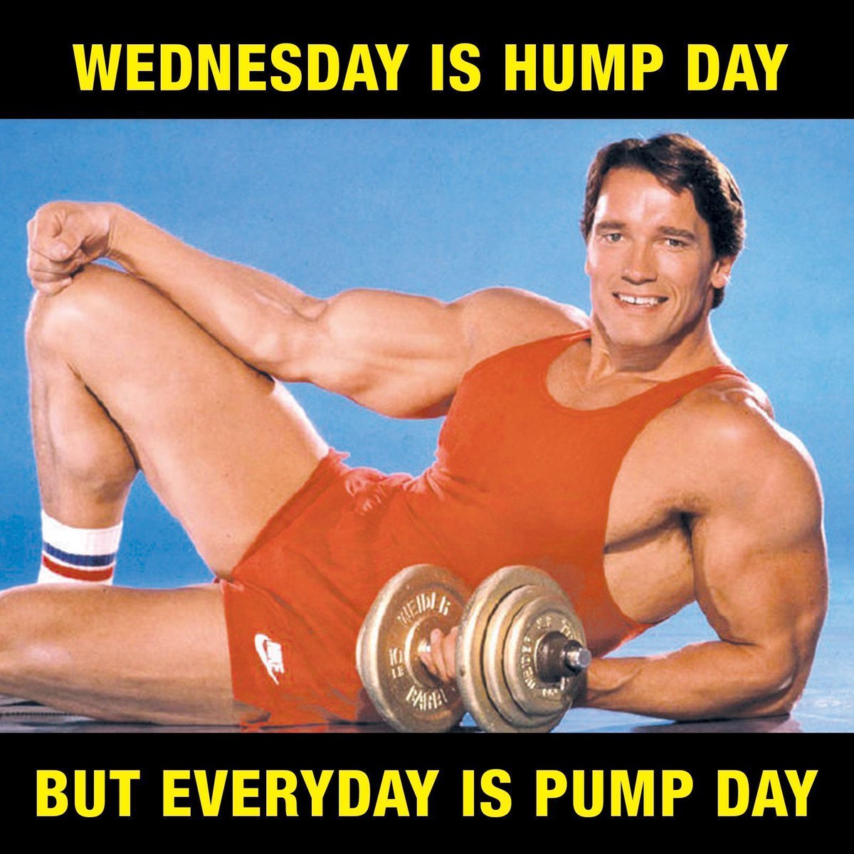 RippedFemme's tweet photo. Best day is hump AND pump day 😉 https://t.co/QmCKEayFw9