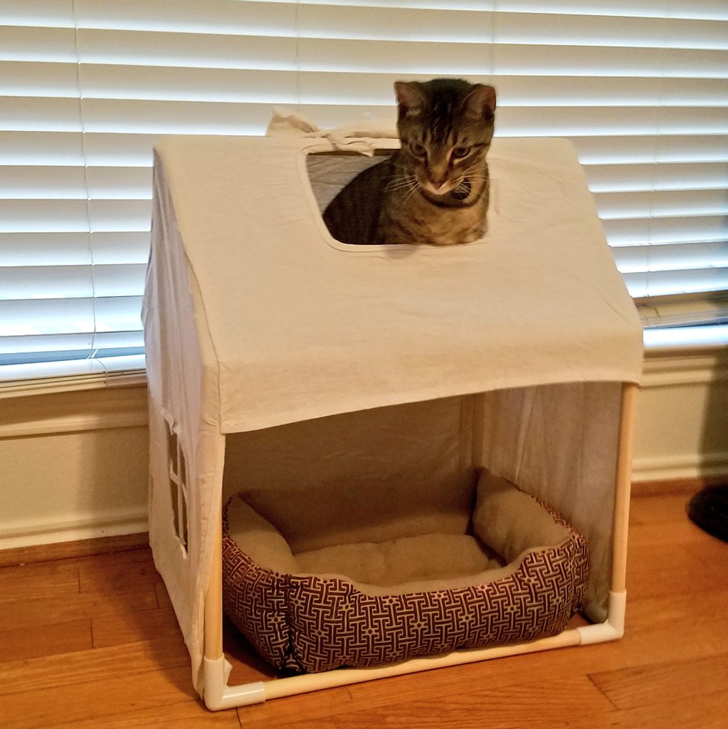 PMonkeyBiscuit's tweet photo. Having Oma (grandma) and Opa (grandpa) visit is the best 😻😹
Hello Twitter and welcome to my crib!!!
#newhomewhodis #CatsOfTwitter #TongueOutTuesday #firsttimehomeowner
Come on over for some savory salmon snacks, furrends https://t.co/dHS5HcULzS