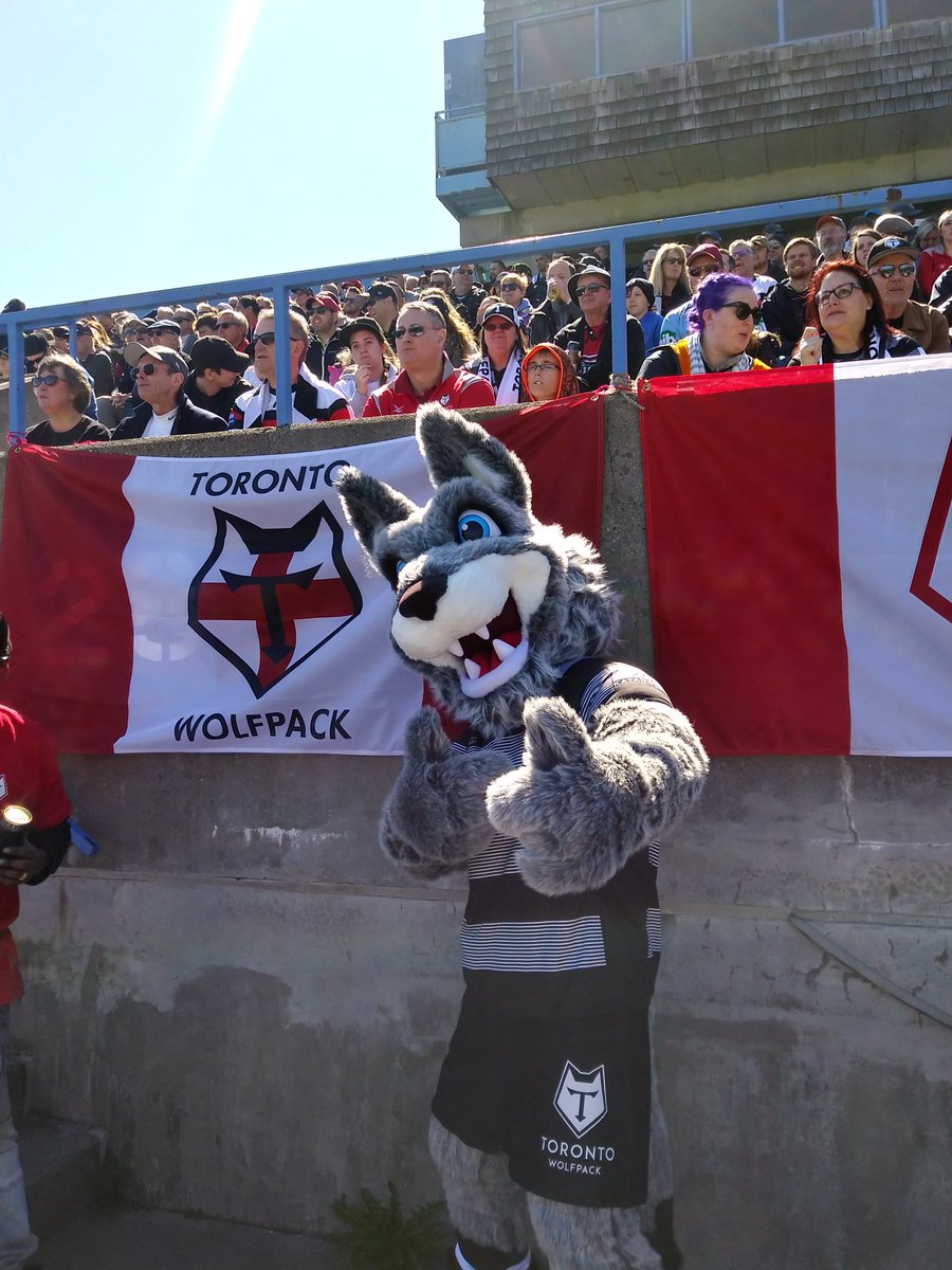 Gordo For Real Toronto Wolfpack Total Rugby League Fans Forum