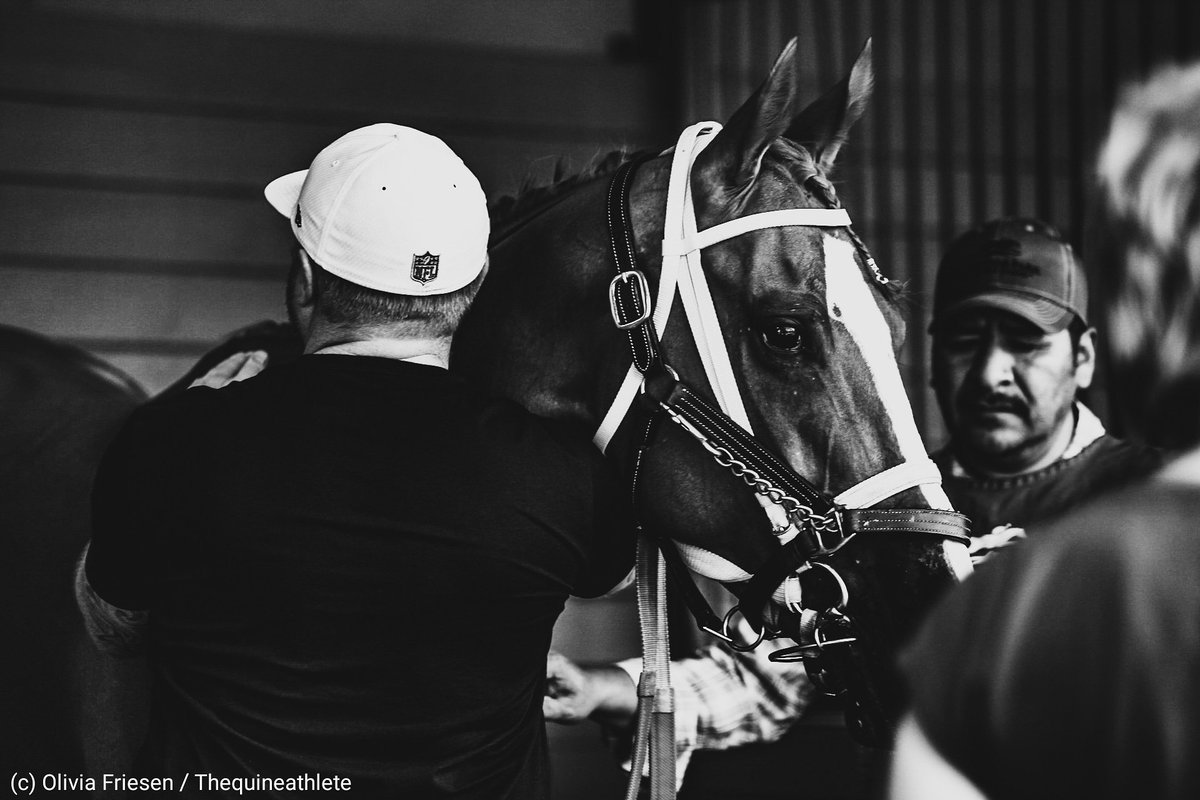 Olivia Friesen (@thequineathlete) on Twitter photo Working on a personal project this season of capturing emotion before/during/after the races ๐ซ
Kicking it off with this sweet moment between <a href="/Bryant_HRD/">George Allan Bryant</a> and Line of Credit ๐ Working on a personal project this season of capturing emotion before/during/after the races ๐ซ
Kicking it off with this sweet moment between <a href="/Bryant_HRD/">George Allan Bryant</a> and Line of Credit ๐