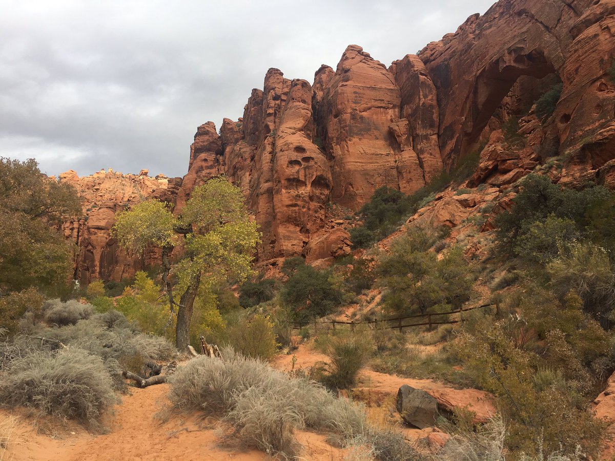 Points if you can spot the arch I nearly walked past. Don’t get so focused on the destination, you miss the point of the journey. 
#utahstateparks #utahstate #southernutah #utahtourism #southwest #snowcanyon #redrocks #hikingadventures #hikinggoals #wegetoutdoors #wegetoutside