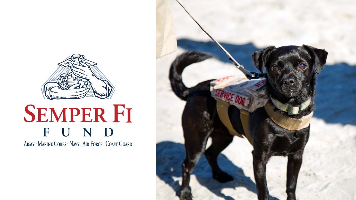 SemperFiFund's tweet photo. Did you know? Petting a dog can lower your blood pressure and help you stay more active! Shelter pets make great companions and there are thousands waiting for their forever home! #adoptashelterpetday #semperfifund #dogs https://t.co/gTohrf7Kfv