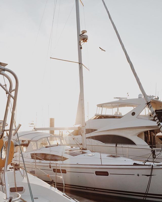 sailside's tweet image. Mother's Day Promo!!💙
Sail away for that special day! 🌊

25€ off for each mom on board
PROMO CODE
1 mom: MOM1 (-25€)
2 moms: MOM2 (-50€) .
.
Visit sailside.com (link in bio) to choose your Mother's Day boat tour!