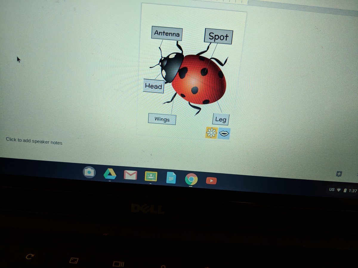 MrsDi_BES's tweet photo. Yay for the Digital Ladybug Notebook! We love it! @ksuarez28 @RoanokeRangers @KinderRangers #K2CanToo #UnlockingITogether https://t.co/htVxkjPdVm