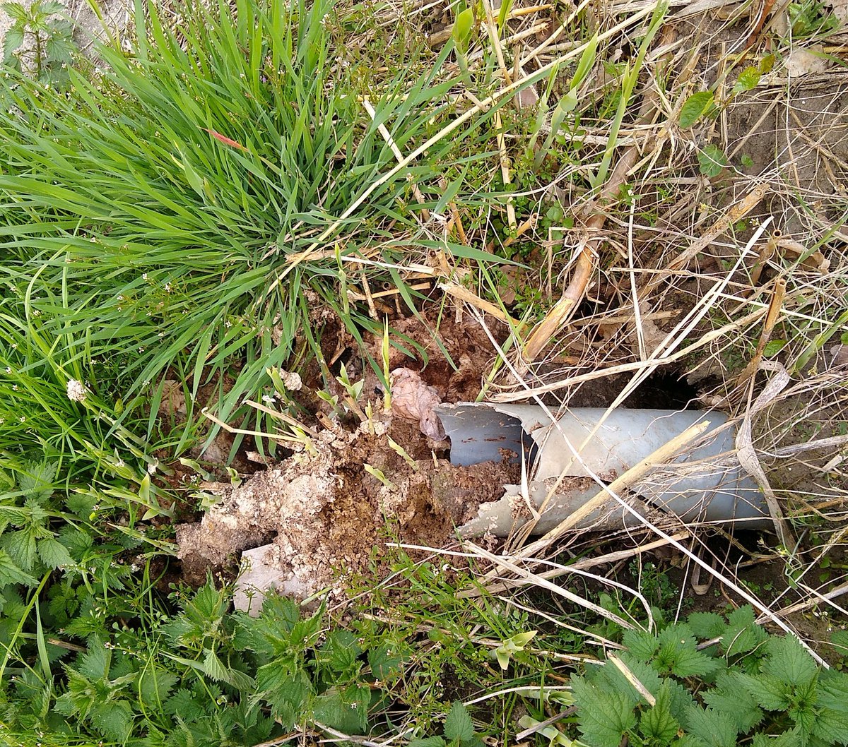 Uitwerpselen uit de uitlegger in de sloot?? Met riosonic sporen wij het foutieve pand op