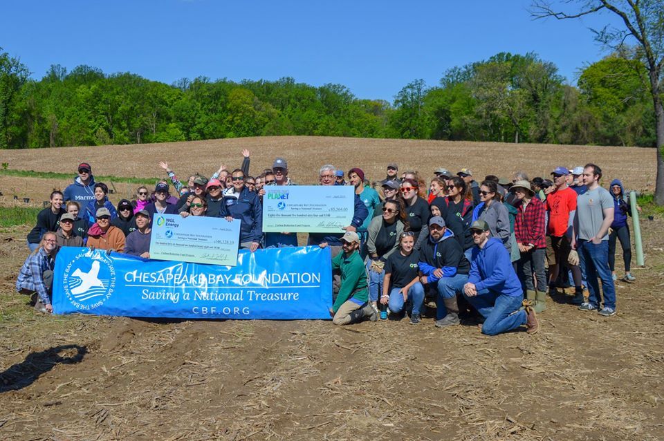 Another successful year teaming up with WGL and CBF to help restore riparian buffer zones near the Chesapeake bay.  buff.ly/2J5AGac