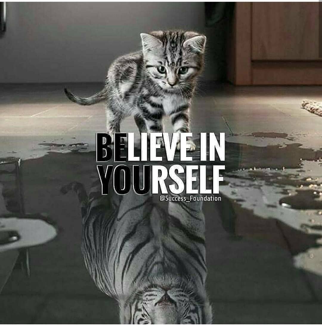 HollyAKline7's tweet photo. Never stop believing in yourself!
#HollyAKline #Author #MotivationalSpeaker #Speaker #Writed #ProfessionalSpeaker #Belief #Love #LifeCoach
#Empowerment #Motivation #MotivationalQuotes
#KEEPMOVINGFORWARD https://t.co/e0U3jHY0xC