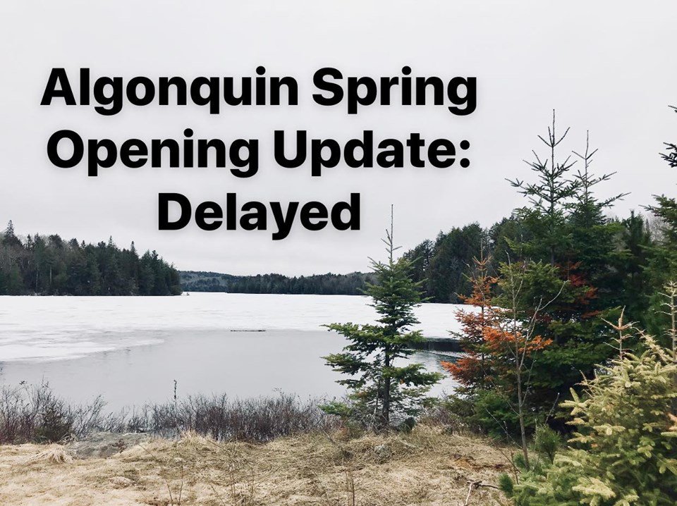 Algonquin Provincial Park tweet media