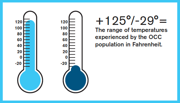 OnCommandConnec's tweet image. #OnCommandConnection drivers drive in all temperatures between +125 to -29 degrees! #diagnostics #TruckerLife