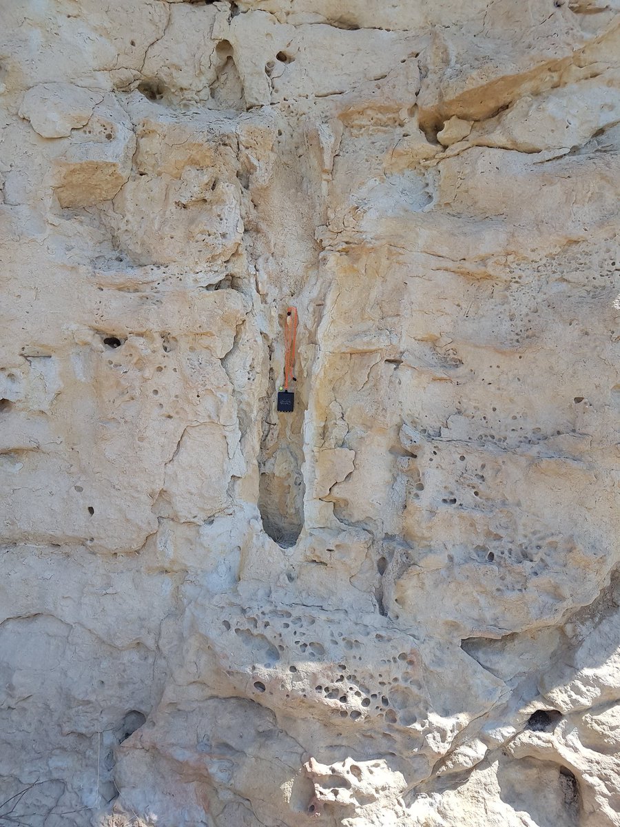 DCharlaftis's tweet photo. We are big fans of fun deltas! #Almeria2019 @DurUniEarthSci @Stuartsediment @k_mccaffrey @VM_Principal @KinvigGeosci https://t.co/2D95JSCFhf