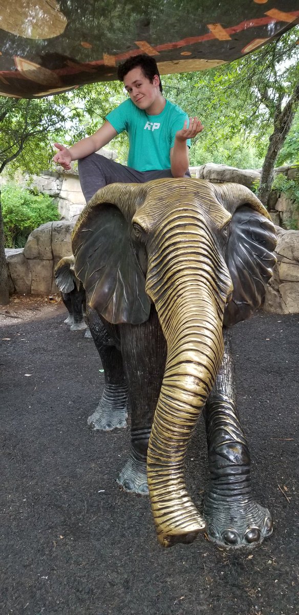 #NHSZoo2019