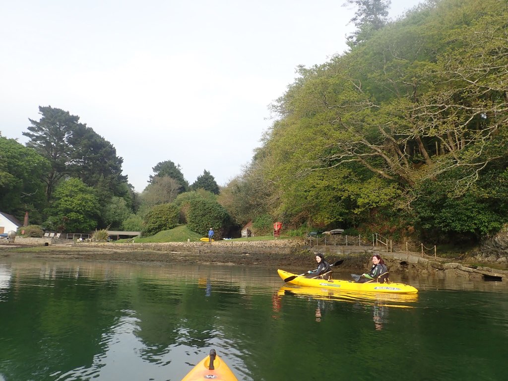 KoruKayaking's tweet photo. Kayaking back to the @BudockVeanHotel after a stunning guided Frenchman’s Creek Kayak Adventure 😀 https://t.co/qTXOkgTTYr