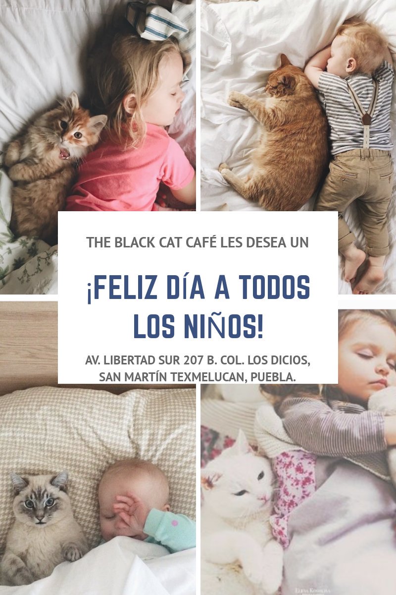 TBC_Cafeteria's tweet photo. ¡Feliz día a todos nuestros niños amantes de los animales! <3 #theblackcatcafe #imyourcoffee #catlovers #cats #diadelniño https://t.co/s45x3KfiRQ