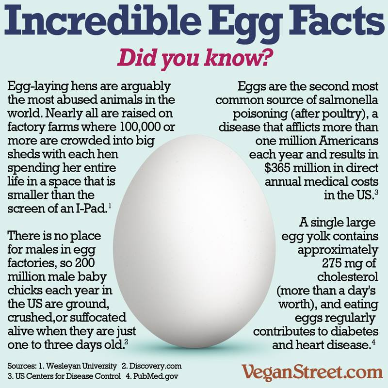 DAMNDIET's tweet image. 