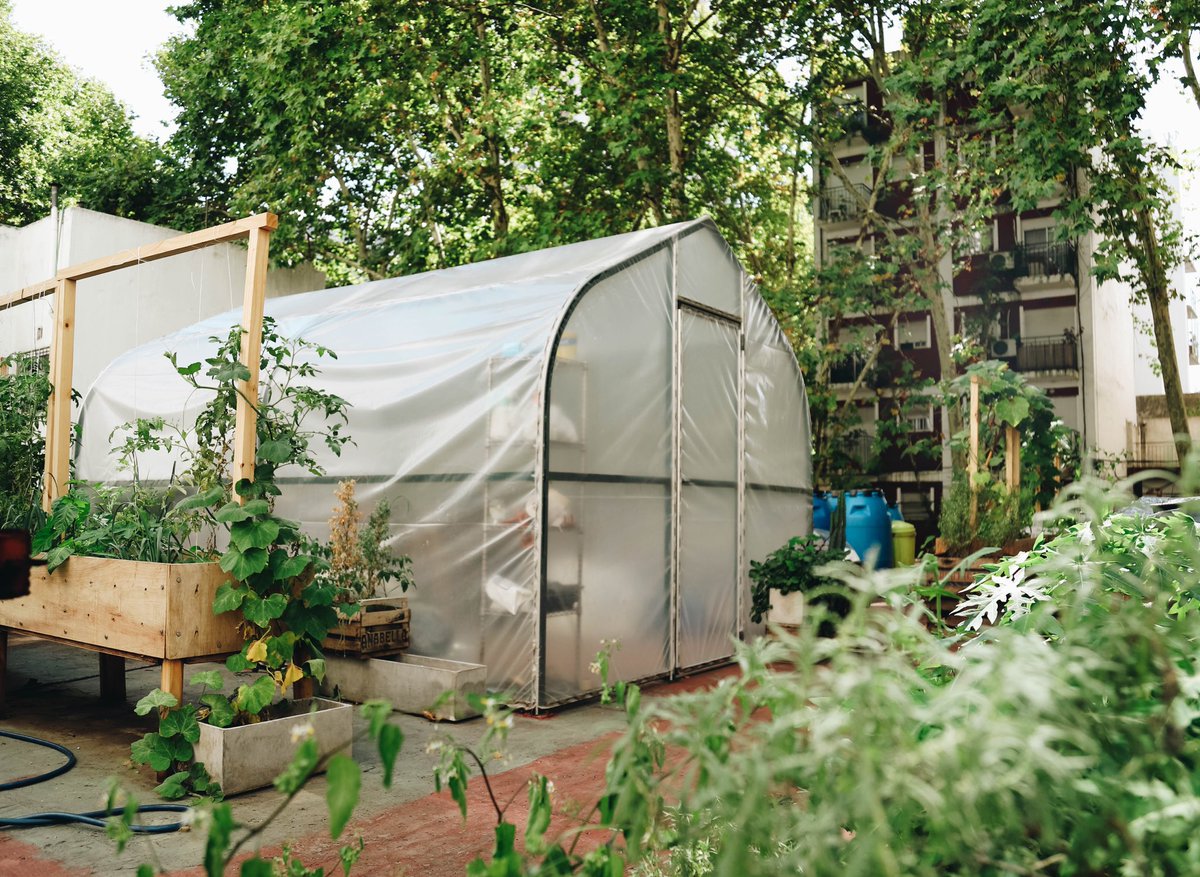 Creemos en la sustentabilidad como filosofía de trabajo. Queremos reducir nuestro impacto ambiental. Por esa razón tomamos acciones que reduzcan a cero nuestros residuos orgánicos. En i Latina todos los residuos vegetales son compostados y convertidos en abono para nuestra huerta