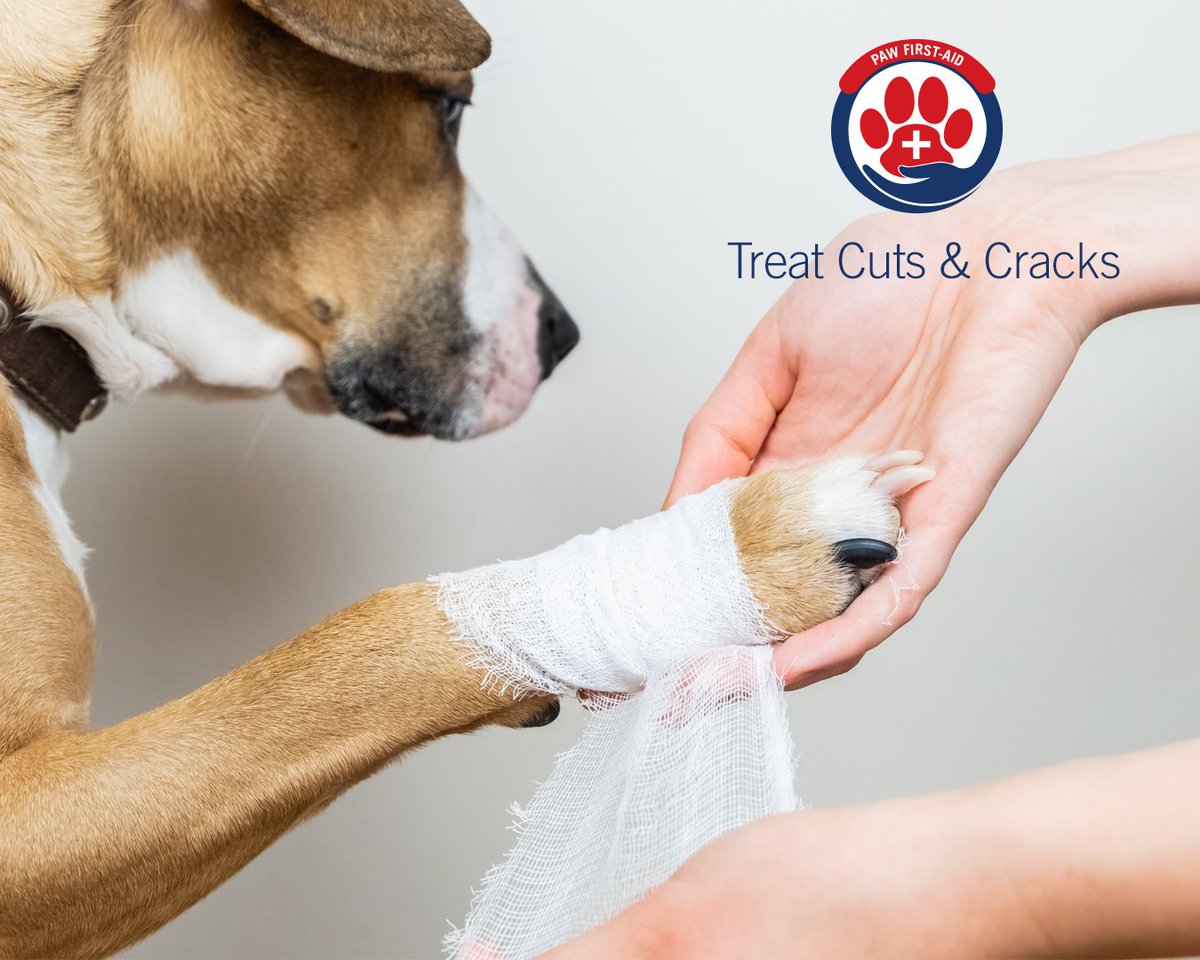 🐾Vetericyn🐾 tweet media