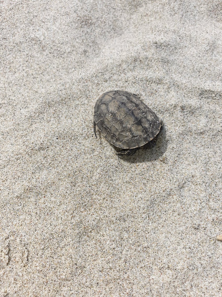 #DahaYolunBaşındayım