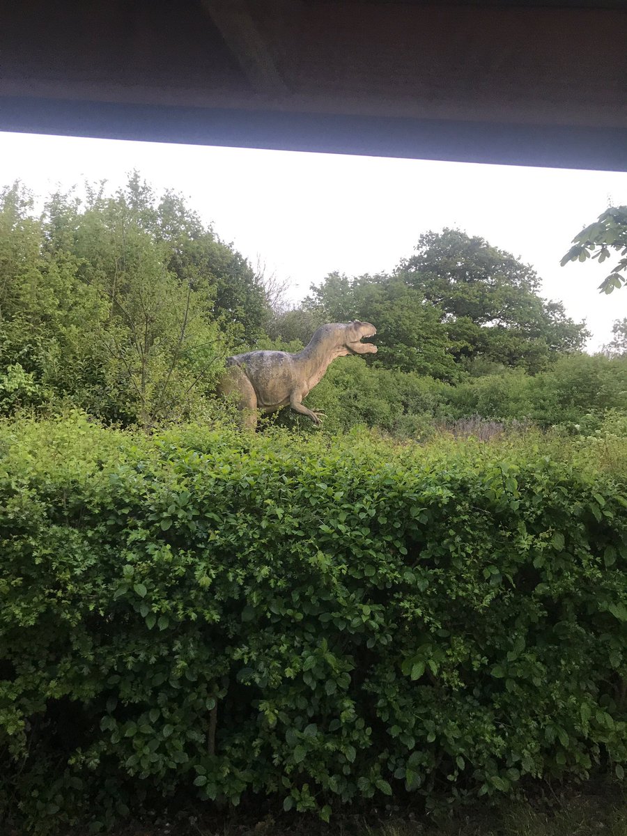 DeliveryTeamCCL's tweet photo. @McgoffSean and @paulkeaneyy92 are having an adventure away working. Not the accommodation most stay at when working away. 🦖 🦕  @ClaremontCCL https://t.co/FKw4Xm7olV