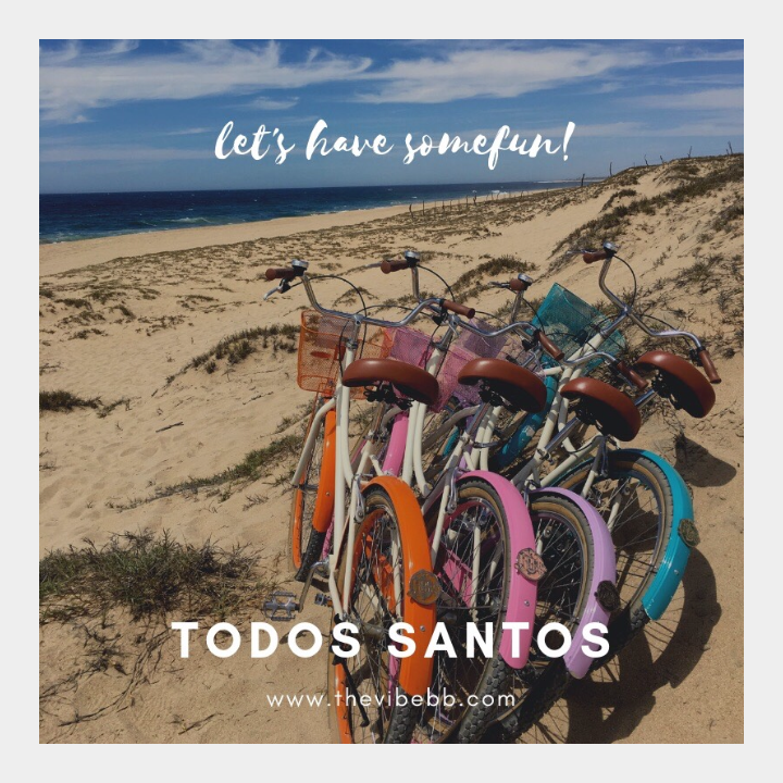thevibebb's tweet photo. Beach, sun and fun ☀️
Happy Tuesday! 
https://t.co/z3OW6S7czP
.
.
.
#bike #sun #fun #beach #todossantos #thevibe #bedandbreakfast https://t.co/vjjTMyHMsa
