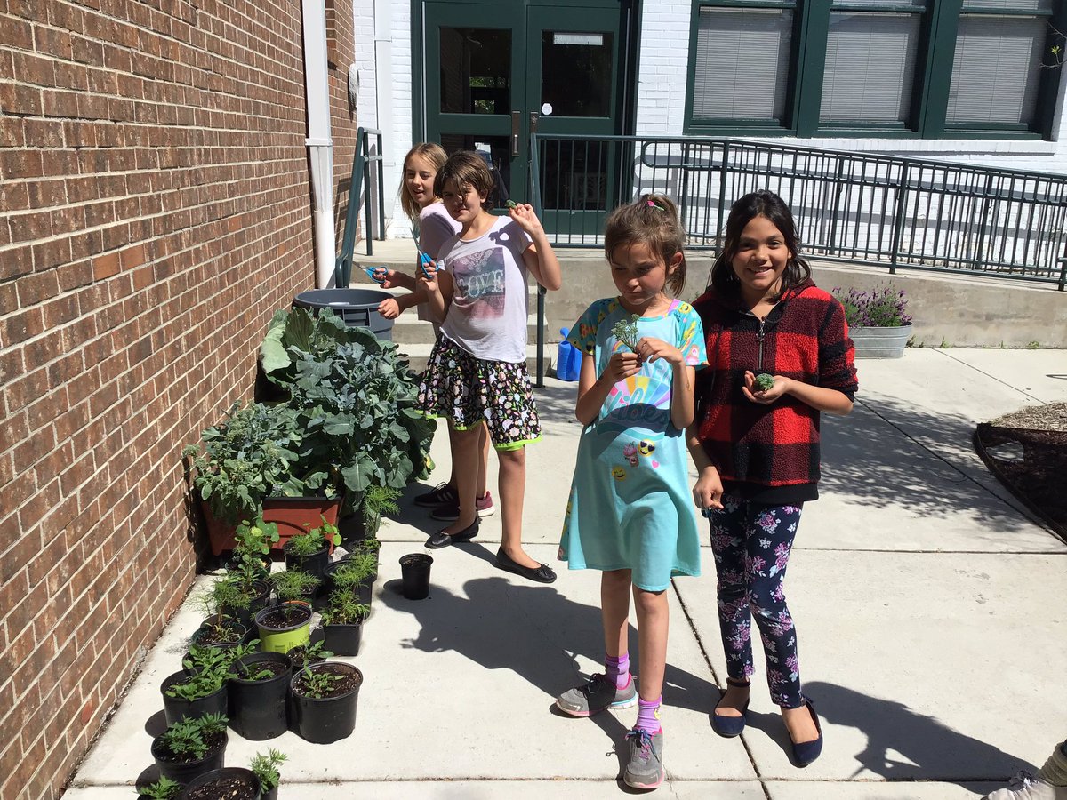 KamiDedrick's tweet photo. Another gorgeous day for The Green Arts Club! We love the freshly mulched and weeded beds. Thank you #workonwilmington! We will be selling plants and art this Saturday at the CB Street Arts Festival. @mconnorCBESArt #CBSeaStars https://t.co/kIyqSg5TvL