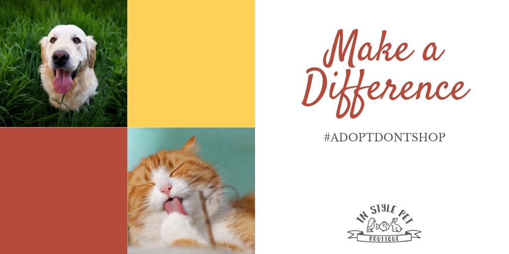 InStylePet's tweet image. Today is #AdoptAShelterPetDay - a day where you can make a difference in the life of a new furry friend. Check out this link for shelters near you. bit.ly/1Rx0wxv #AdoptDontShop
