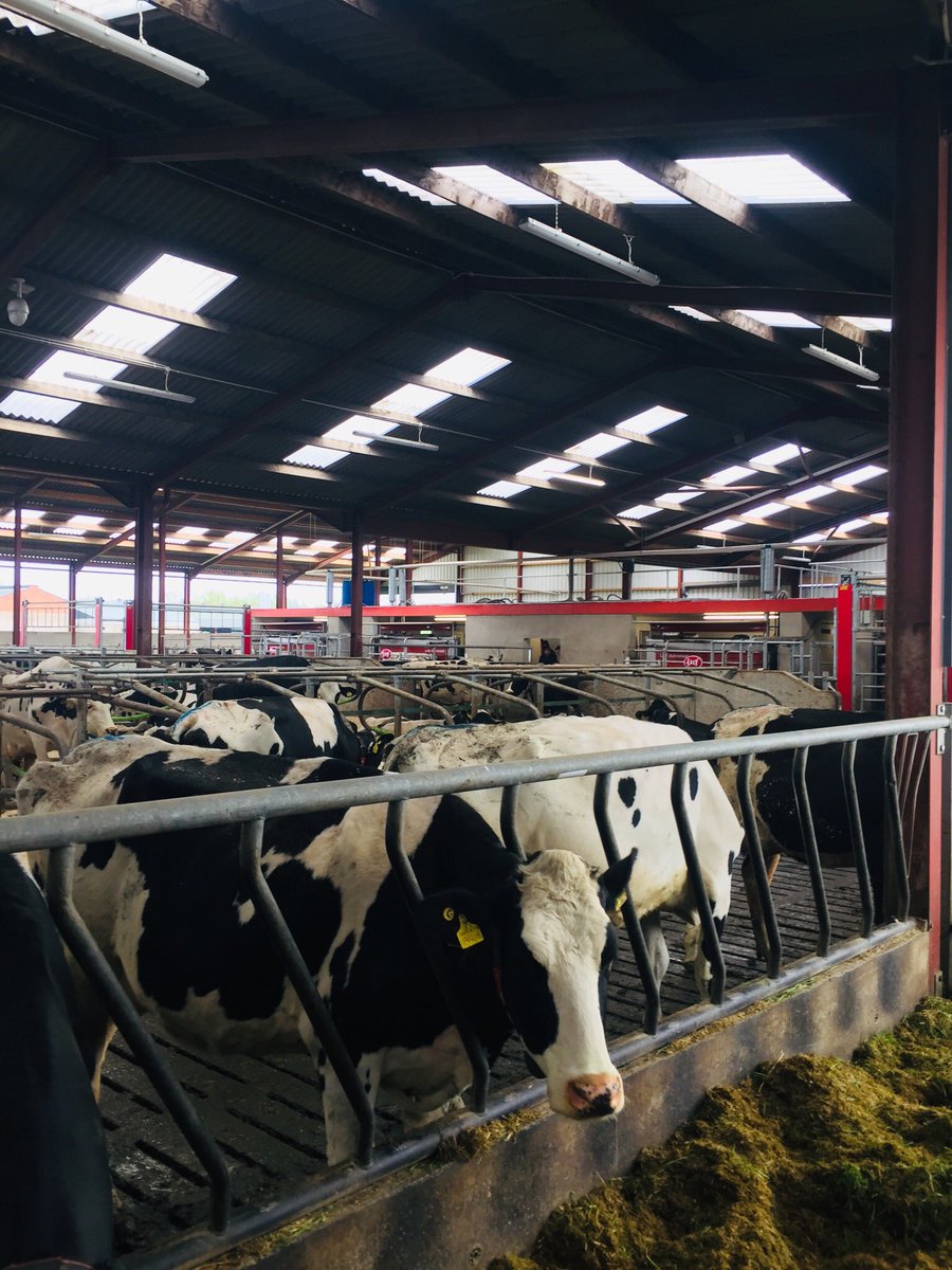 Great spring meeting with Ulster Grassland Society on Taylor’s farm, Finvoy. Giving an insight on their enterprises include new dairy 🐄 boilers 🐓 and an AD plant #UGS