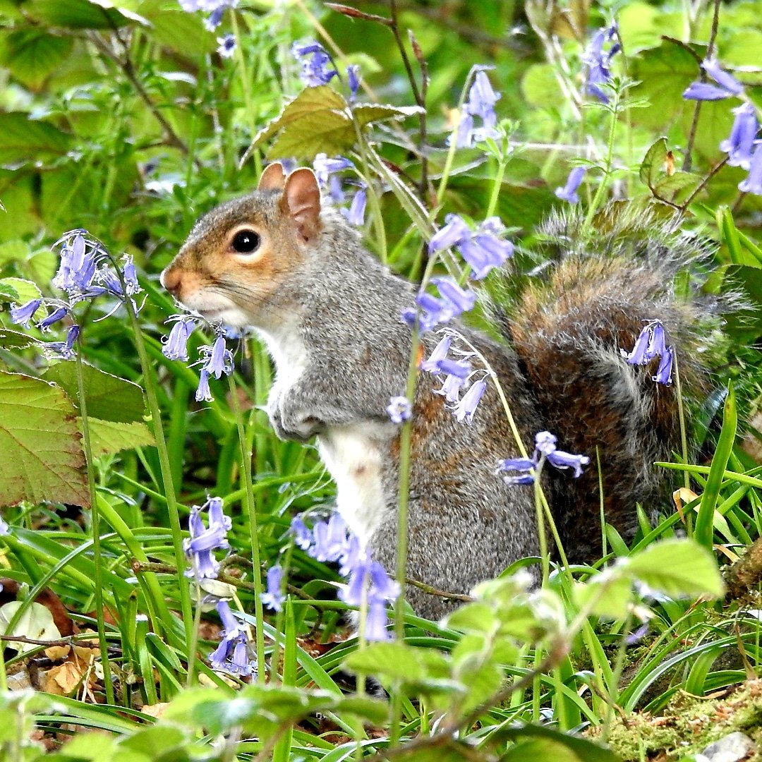 Pj47320701's tweet photo. @Britnatureguide https://t.co/h8ZBK2BBaG
