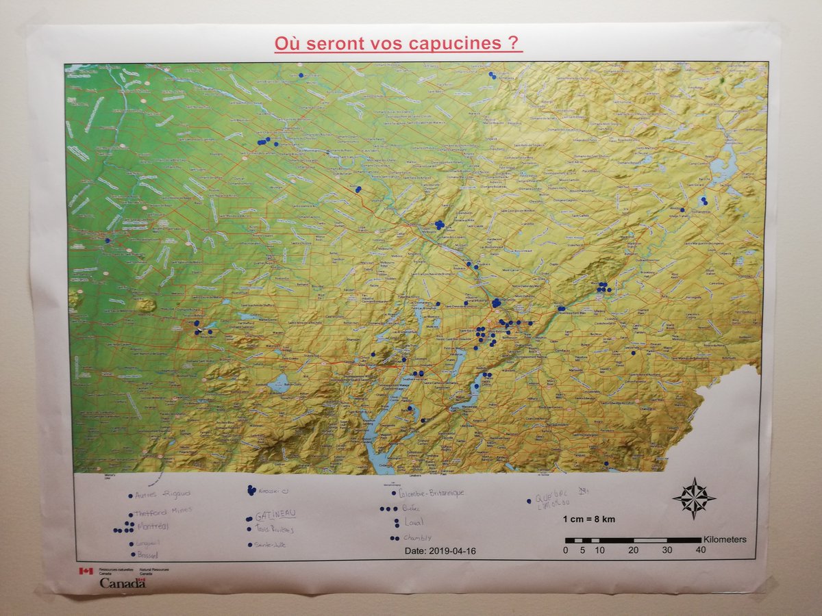 karenbronsard's tweet image. A Pâques, le musée @naturesciences de #Sherbrooke donnait des capucines (. Les cartes du #CCCOT (@RNCan) ont été utilisées pour identifier leur lieu de semence final... il y en a même en Colombie-Britannique! #opengov #GouvOuvert