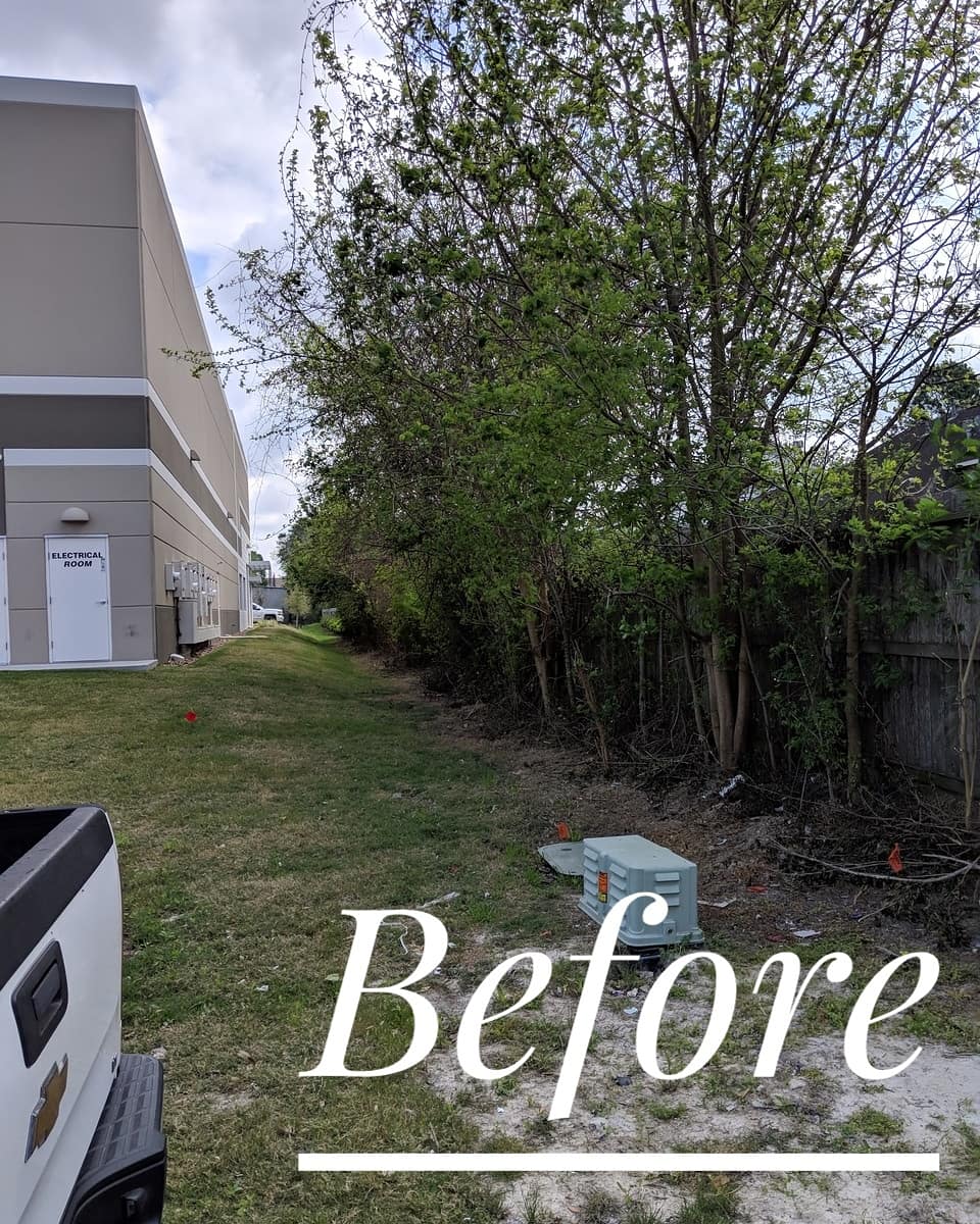 embarkservices's tweet photo. What a difference a trim makes!
#embarktreecare #treeshouston #houstontrees #oaktree #commercialrealestate #houstonrealestate #houstonbusiness #houstonpropertymanager #houston #propertymanagement #commerciallandscaping #landscapinghouston #landscaping #urbanforest https://t.co/yK50Nuscuy