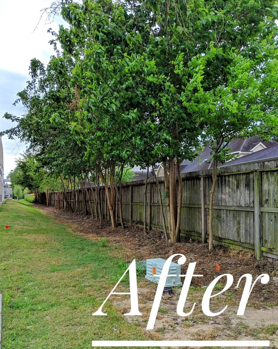 embarkservices's tweet photo. What a difference a trim makes!
#embarktreecare #treeshouston #houstontrees #oaktree #commercialrealestate #houstonrealestate #houstonbusiness #houstonpropertymanager #houston #propertymanagement #commerciallandscaping #landscapinghouston #landscaping #urbanforest https://t.co/yK50Nuscuy