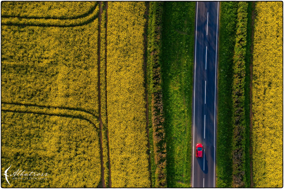 photo_journeys's tweet photo. Rape seed fields this evening at sundown. Warwickshire.
#warwickshire #rapeseedfields #dronephotography #coloursofspring #loopimages https://t.co/VCj7FrKX54