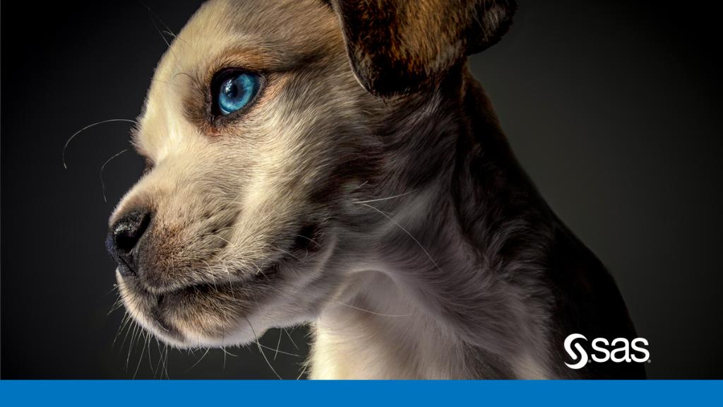 SASsoftware's tweet photo. Last chance for puppy love at #GartnerMKTG. Our Puppy Stress Relief Station is open until 2:15 pm! Tag #SASpaws & team SAS will donate $1 to @TBLTweets rescue. Up to $500 for posts 4/29-4/30/19. No purchase necessary. Void where prohibited. Full details: https://t.co/Tut2NDzWs8 https://t.co/dx83nCUBSS