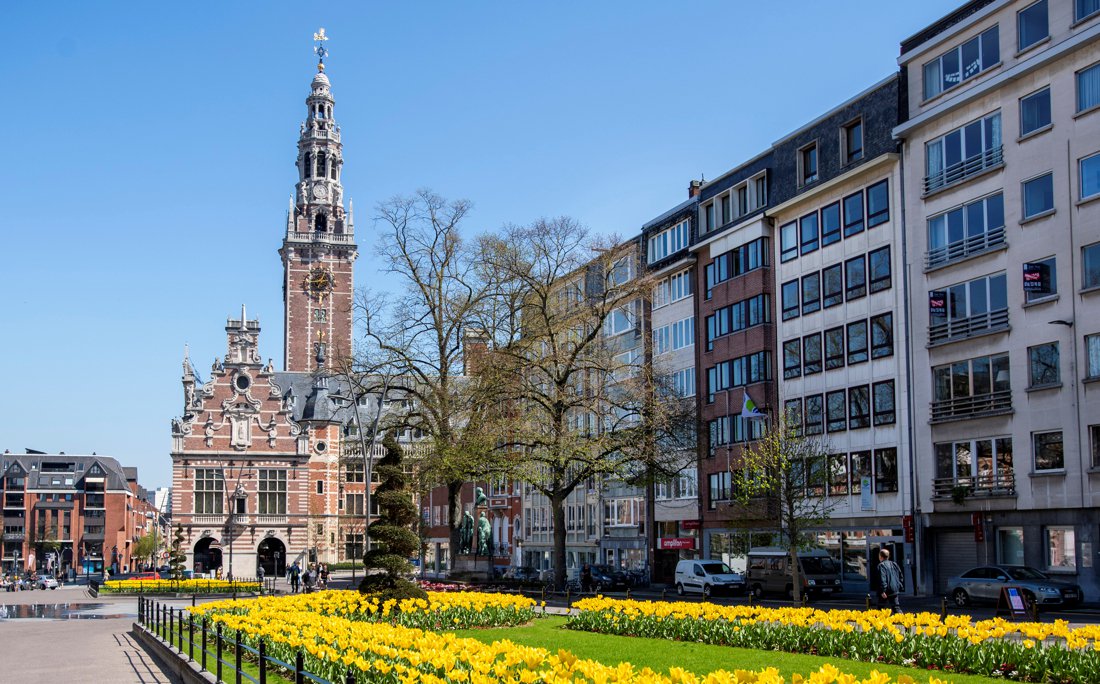 De Standaard tweet media