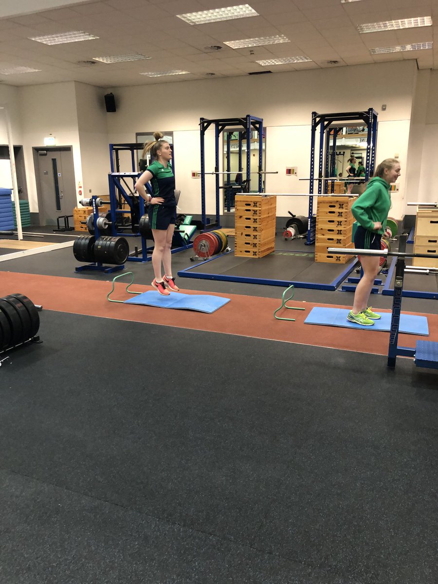 Colin Shields tweet media