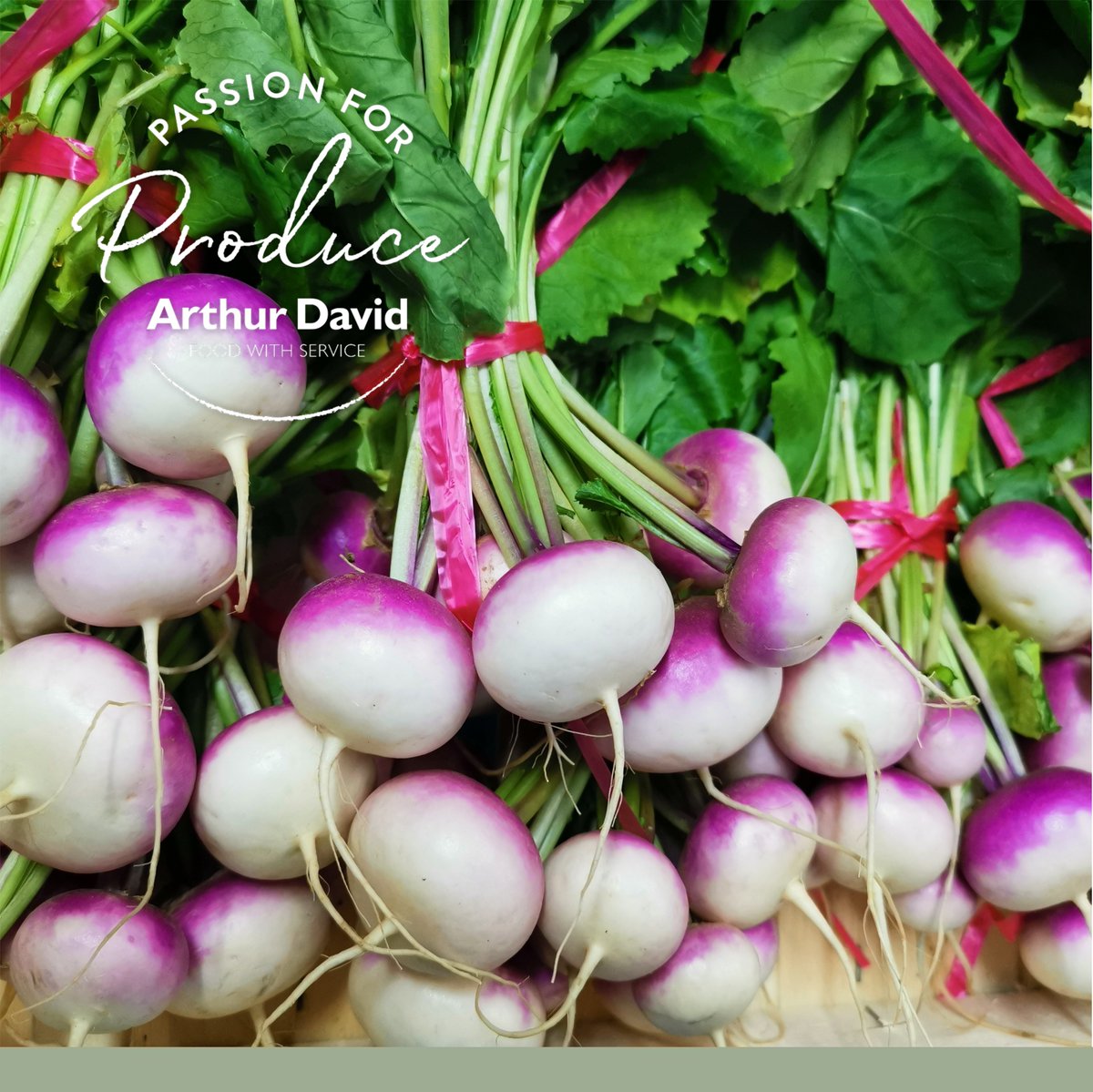 ArthurDavidFWS's tweet photo. ๐ถI've got a lovely bunch of....๐ถ #babyturnips ๐
#passionforproduce top pick!
#finedining #foodservice #foodwithservice #fruitandveg https://t.co/gaNr0wLqLm