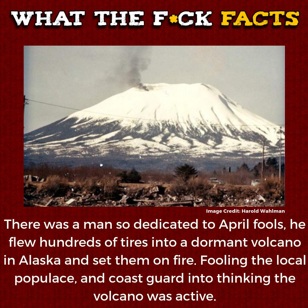 What The F*** Facts tweet media