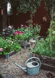 balconpotager's tweet photo. flowers_Kristin__Lagerqvist-3112 https://t.co/gTskr9hbXK