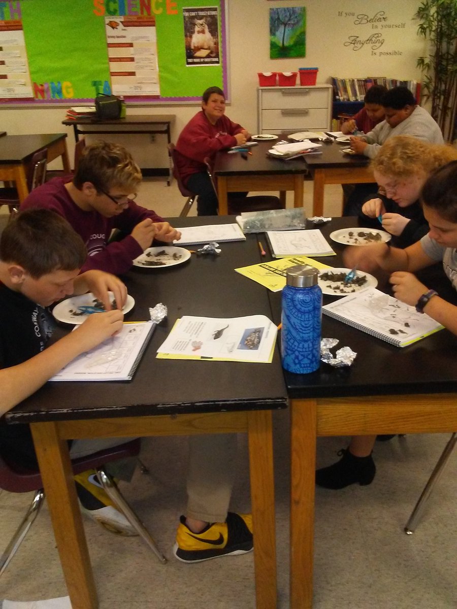Investigating relationships between ancient and modern organisms. #OwlPellets #CoolScience @JCPS_Boss @conwayJCPS #TheConwayWay