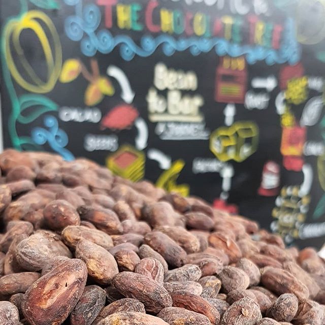 The flavour of our chocolate largely comes from the quality of the cacao we use. Growing Cacao on small biodiverse farms across Latin America is a goodness that is helping our world. Cacao is pleasure &amp; nutrition, and also healing. Eat More Chocolate… bit.ly/2GTD7Lc
