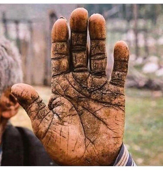 İşçinin çalışacağı,memurun izin kullanacağı #1Mayıs kutlu olsun...