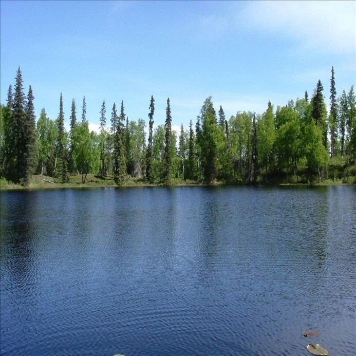 HolidayRoot's tweet image. A Charming bungalow style cabin nestled in the woods on a small private lake. Great for Couples for a #RomanticGetway away from the city.

#HolidayRoot #AlaskaVacationRentals #KenaiPeninsulaVacationRentals #SoldotnaVacationRentals

Inquire Today &amp;amp; Book! ☺️
holidayroot.com/accommodation/…