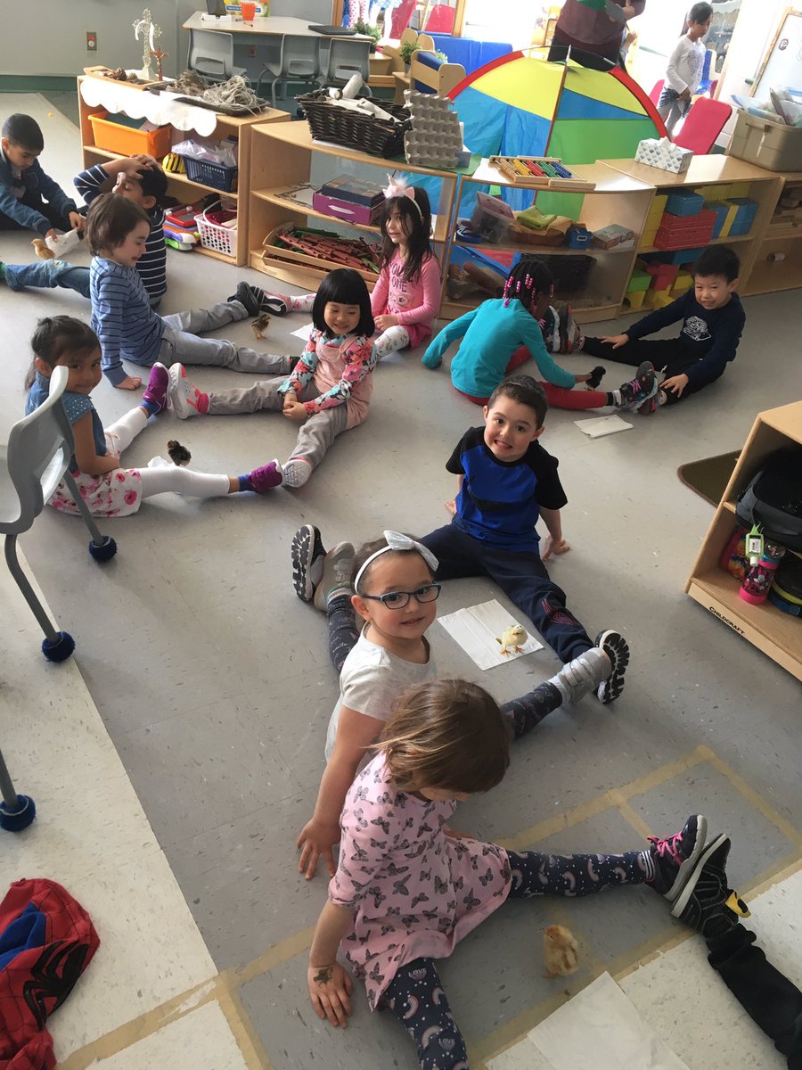 KindertownJS3's tweet photo. We are SO excited about our chicks!! #ocsbKindergarten #lukocsb #ocsbdl https://t.co/MRbBtE1XnD