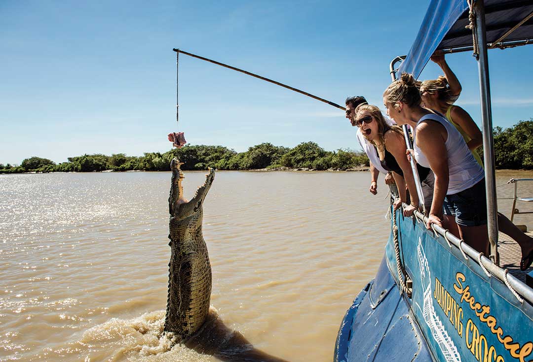 If you’re looking for excitement in the NT, Darwin won’t let you down. Whether it’s watching monster crocs in action, flying low over tropical wetlands, or trekking into the wilderness, you’ll find countless exhilarating activities. 

AdveNTure in the NT: bit.ly/adveNTureNT