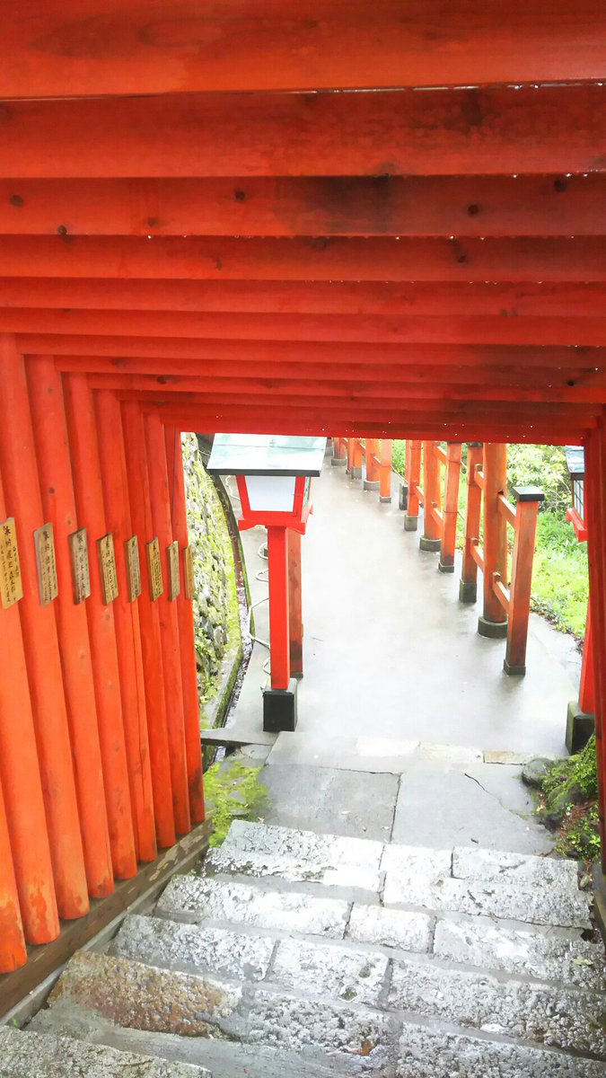 ナオさん ರ 太鼓谷稲荷神社は島根県津和野町にあります 稲荷神社の総本山である伏見稲荷神社のような千本鳥居があります ただし山の中腹に建ってるのできつめの階段 早朝にも関わらず御朱印の対応していただきありがとうございました ナオさん ರ 太鼓谷稲荷神社は島根県津和野町にあります 稲荷神社の総本山である伏見稲荷神社のような千本鳥居があります ただし山の中腹に建ってるのできつめの階段 早朝にも関わらず御朱印の対応していただきありがとうございました