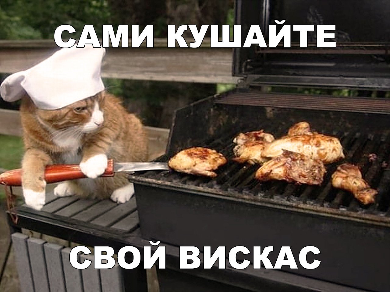 картинка жрите сами полосатую нательную