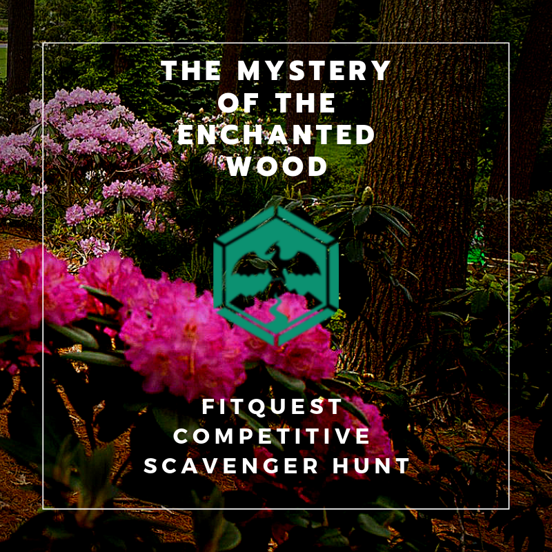 QuestGm's tweet photo. Greetings Adventurers! 
I'm pleased to be hosting a competitive scavenger hunt on May 19th!

To participate, just join the FitQuest mailing list: https://t.co/FNu6hbDjDl https://t.co/WIoboCGGU1
